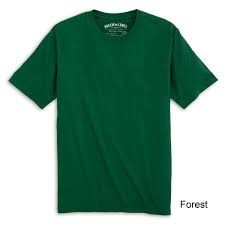 “Everyday Essentials: Premium T-Shirts”